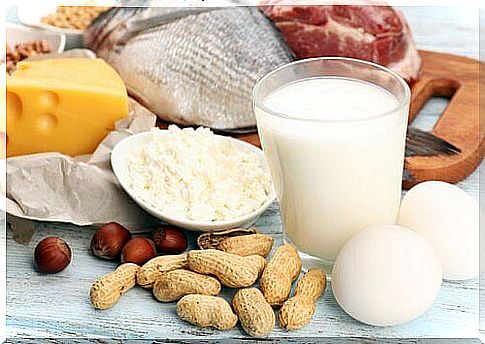 5 protein-rich foods you should include in your diet