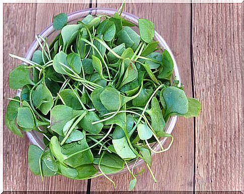 Watercress