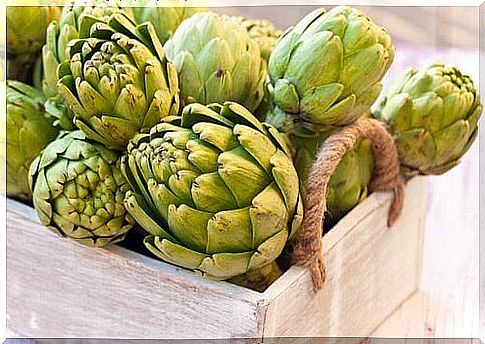 Artichoke