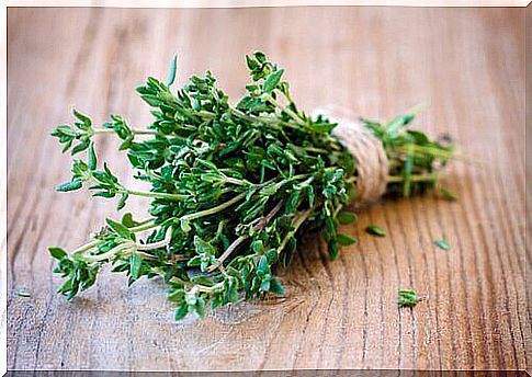 Thyme