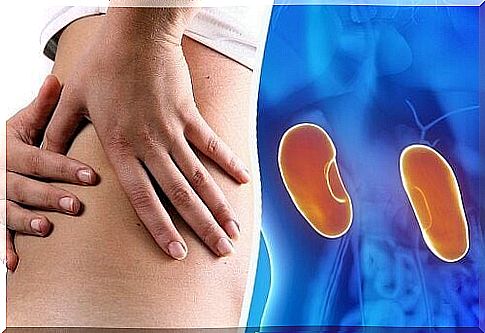 6 tips on how to take care of your kidneys