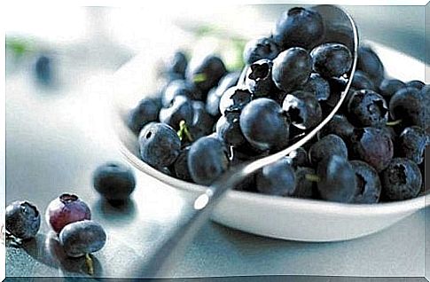 flavonoids in blueberries