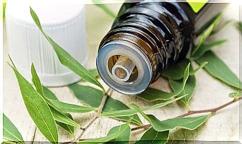 Essential tea tree oil to get rid of warts