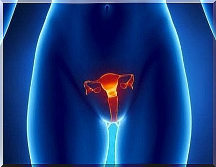 8 early signs of ovarian cancer you should not ignore