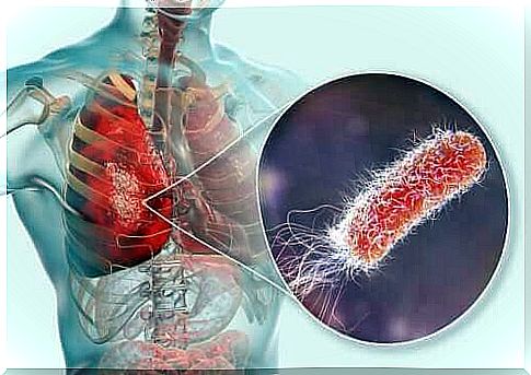 Are there bacteria in the lungs?