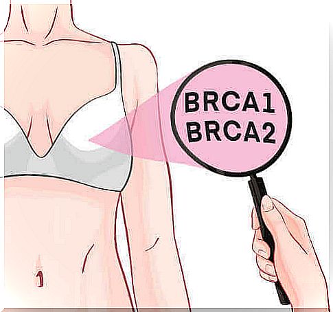 BRCA1 and BRCA2 genes and breast cancer