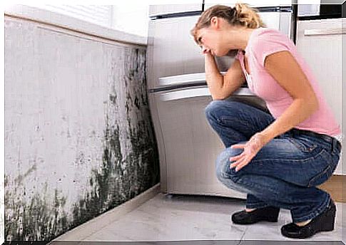 Can mold in the house lead to health problems?