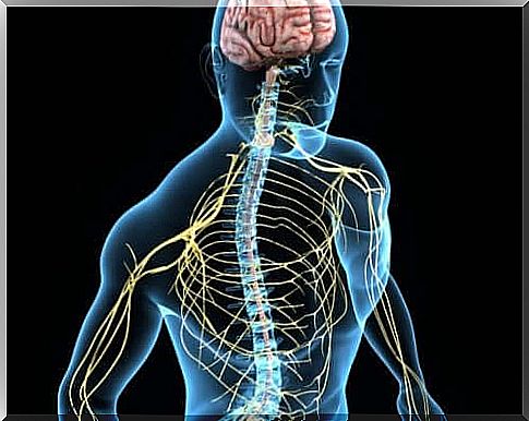 Choline is a substance that controls mood.