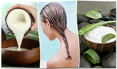 Fight hair loss with this aloe vera and coconut milk treatment