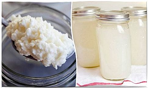 How to make coconut water kefir to improve your health