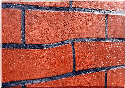 How to protect brick walls from mold