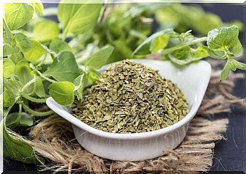 Oregano tea.