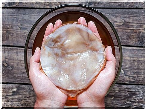 Kombucha Tea: What is it, how do you make it, and what does it do?