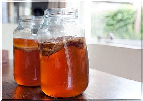 Kombucha Tea: What is it, how do you make it, and what does it do?