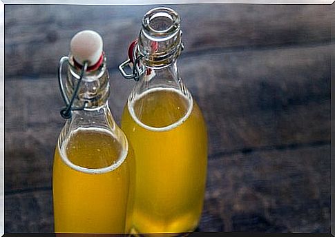 Kombucha Tea: What is it, how do you make it, and what does it do?