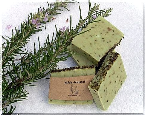 Learn how to make rosemary soap for oily skin