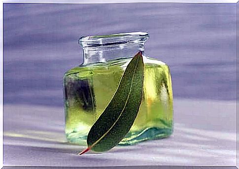 A small bottle of eucalyptus oil.