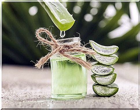 Aloe vera against sunburn