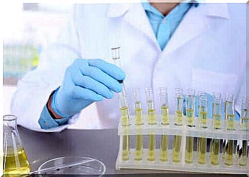 Urine culture: What is it and what is it used for?