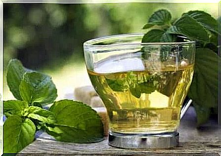 Mint tea that stands out in nature.